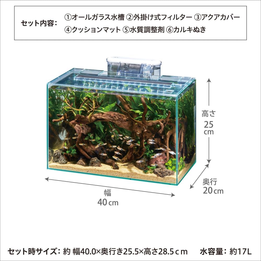 Aquarium with decorative elements and dimensions labeled in Japanese at Pet Servo