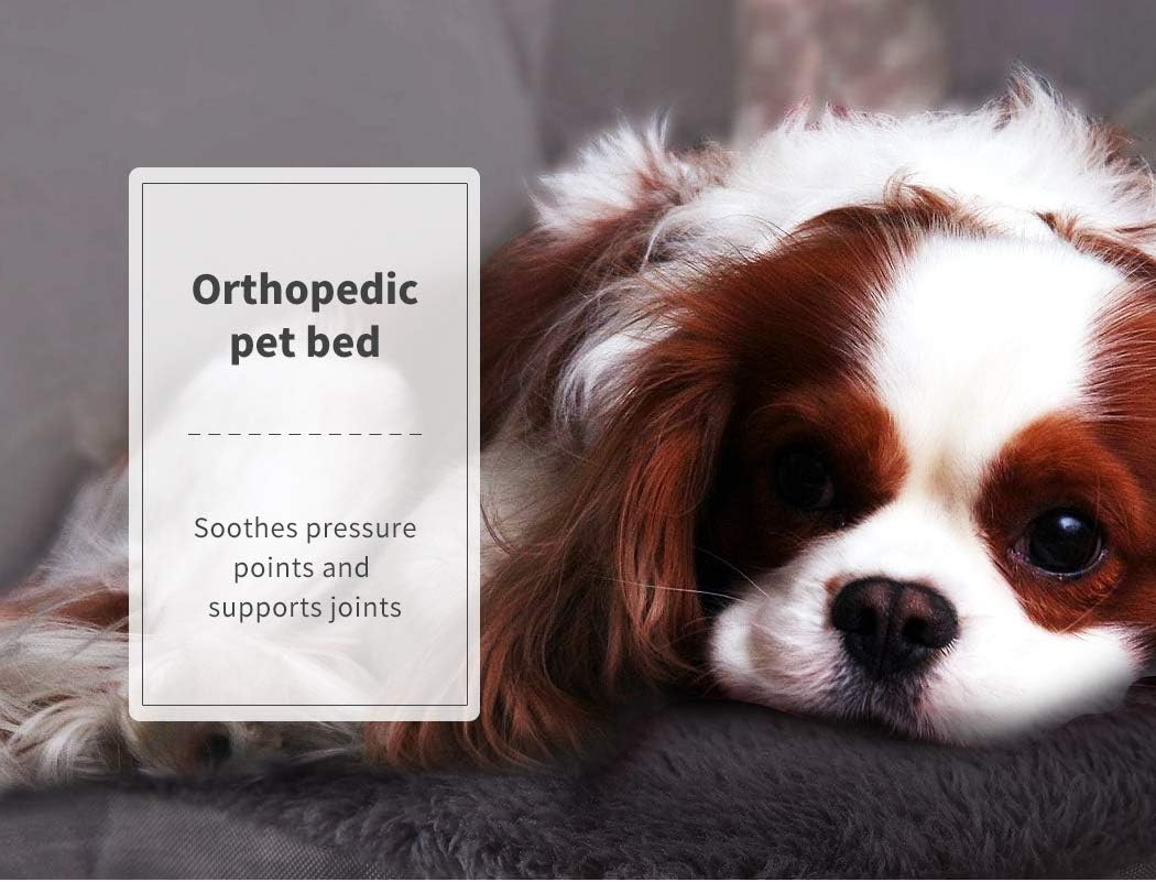 Dog lying on an orthopedic pet bed with promotional text overlay at Pet Servo