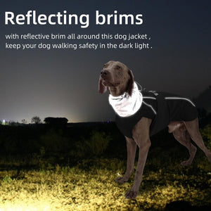 Grey Waterproof Dog Coat - Windproof & Adjustable - Petservo
