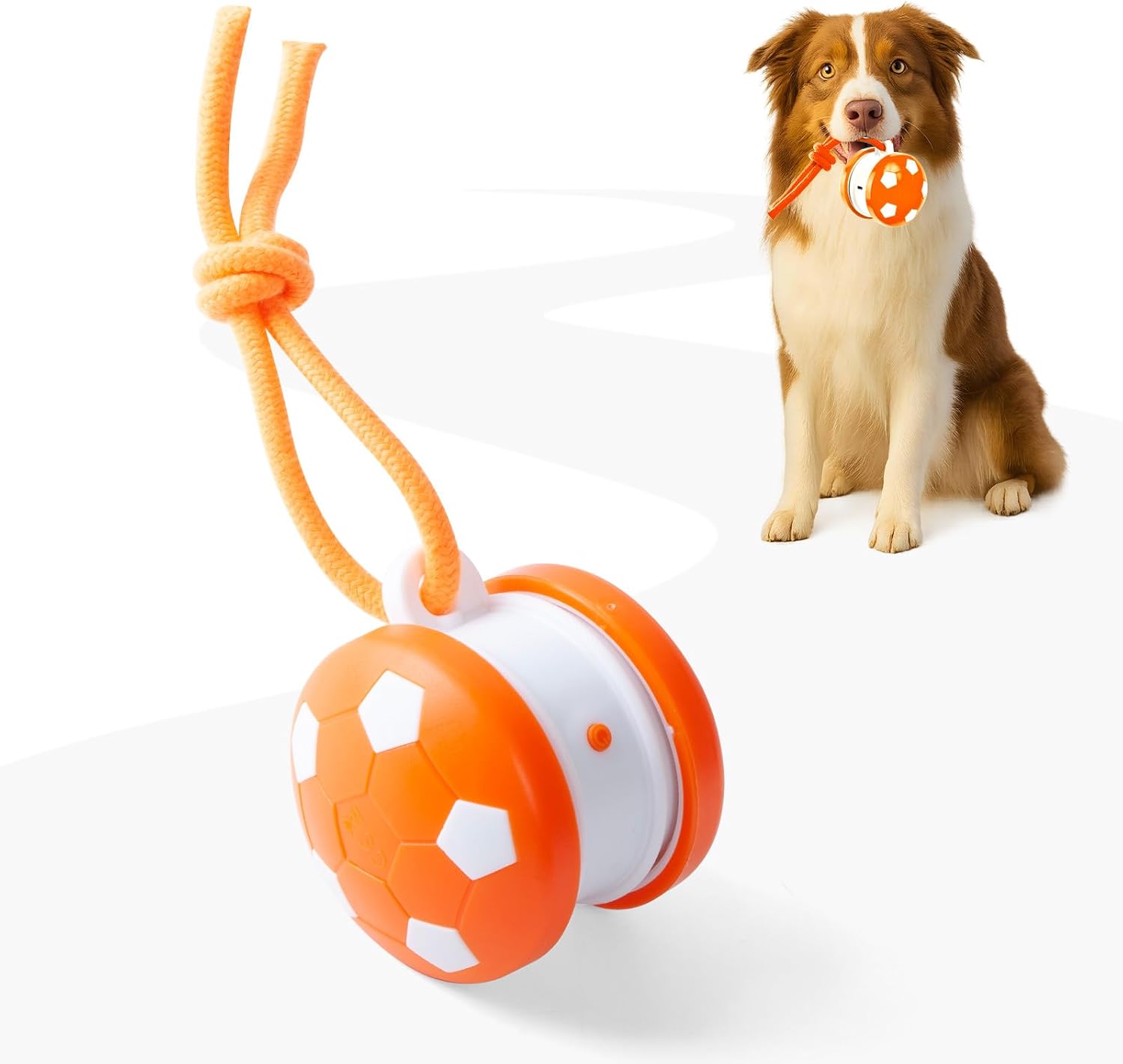 Dog toy resembling a soccer ball with a rope and a dog sitting next to it on a white background at Pet Servo