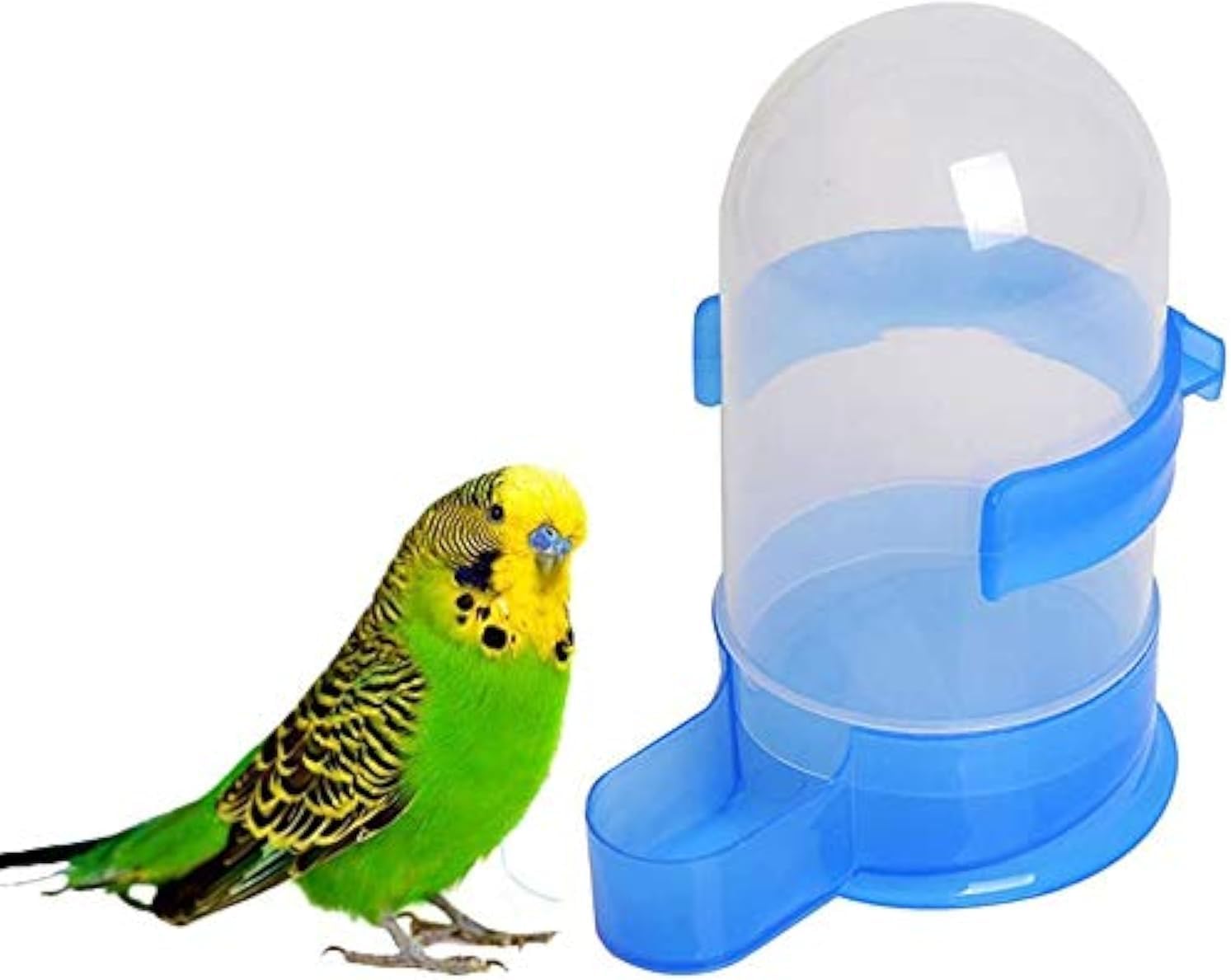 Blue bird feeder with a green parakeet on a white background at Pet Servo