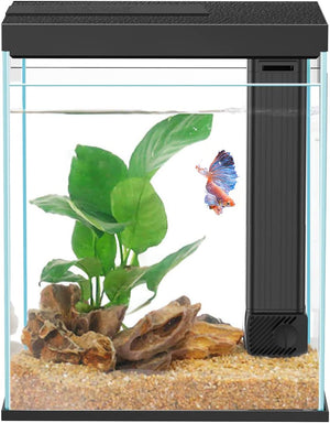 Small aquarium with plants, rocks, and a fish inside at Pet Servo