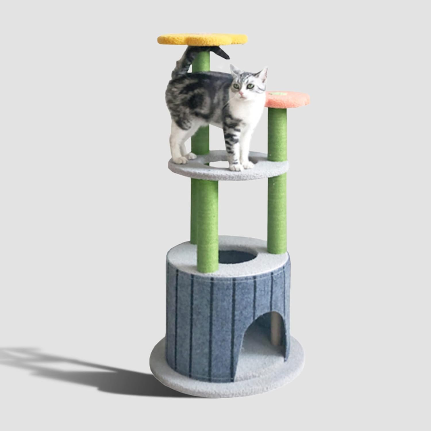 Cat climbing tower with a cat on a white background
