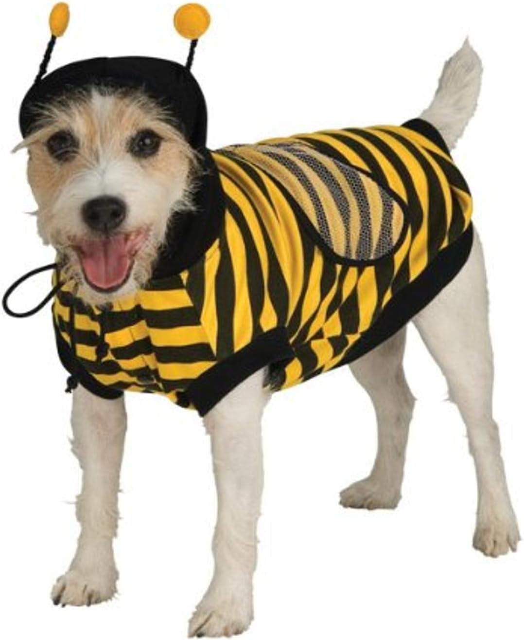 A small dog wearing a yellow and black striped bee costume with antennae on a plain white background at Pet Servo