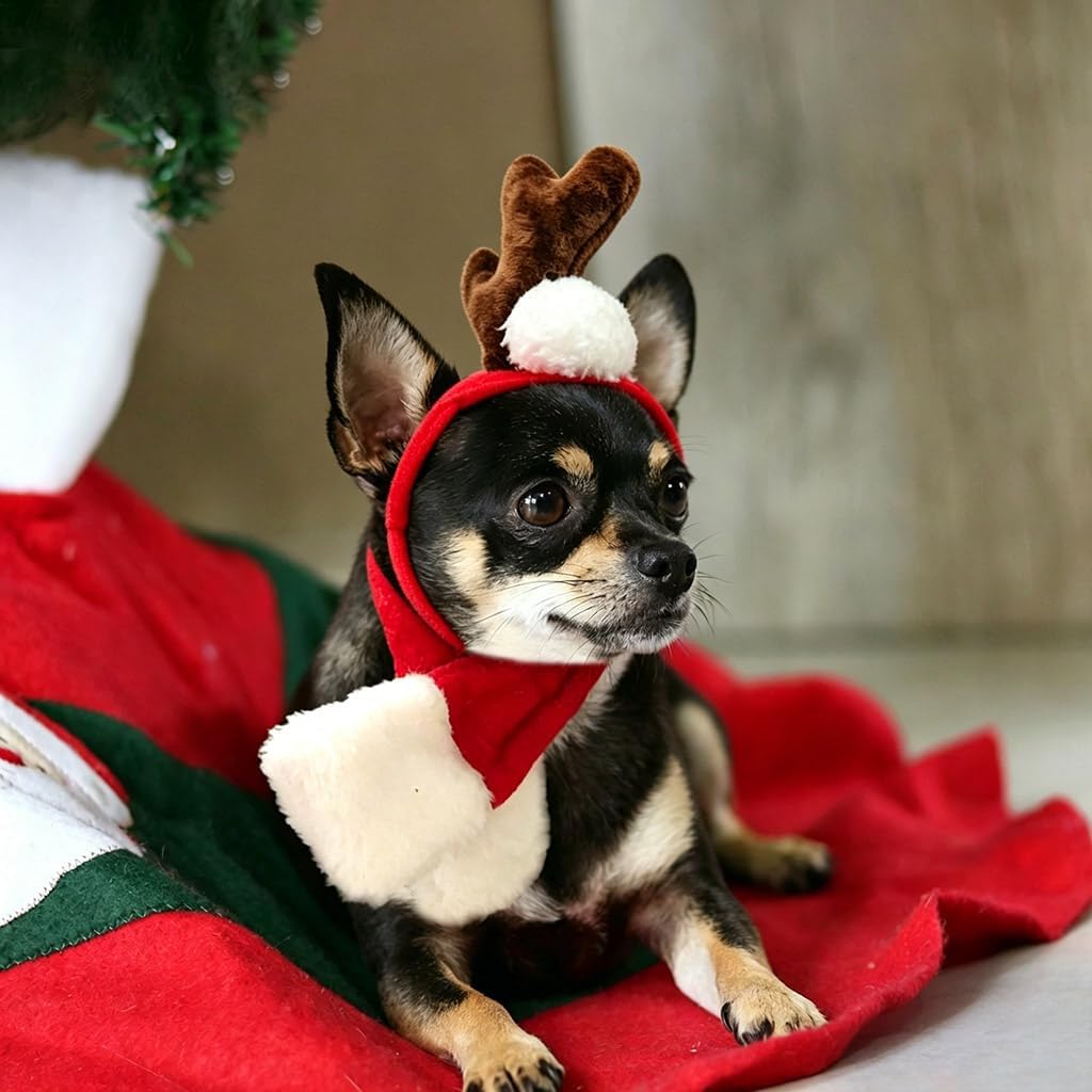 NAMSAN - Pet Reindeer Costume with Red Scarf for Christmas New Year Party at Pet Servo