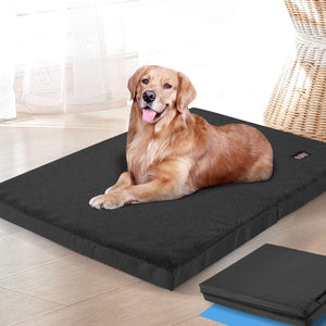 Dog lying on a black pet bed in a home setting at Pet Servo