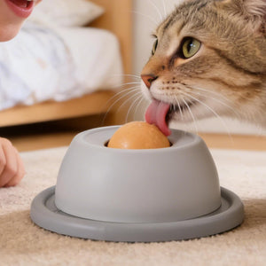 Cat interacting with a gray bowl containing a treat on a carpeted floor at Pet Servo