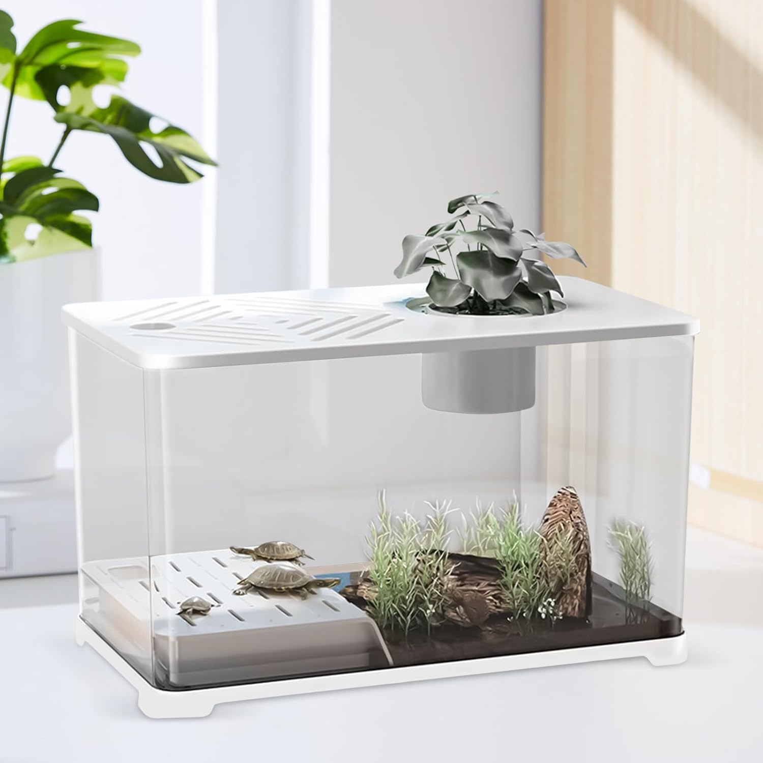 Small aquarium with plants and rocks on a white surface at Pet Servo