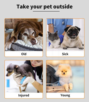 A pet safety awareness graphic with the headline 'Take your pet outside' on a light gray background. Four photo panels below show pets labeled 'Old,' 'Sick,' 'Injured,' and 'Young,' each with a veterinarian or handler visible in one or more panels at Pet Servo