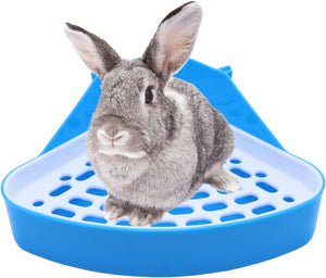 Gray rabbit on a blue plastic platform with holes at Pet Servo