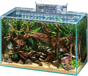 Fish tank with plants, rocks, and driftwood on a white background at Pet Servo