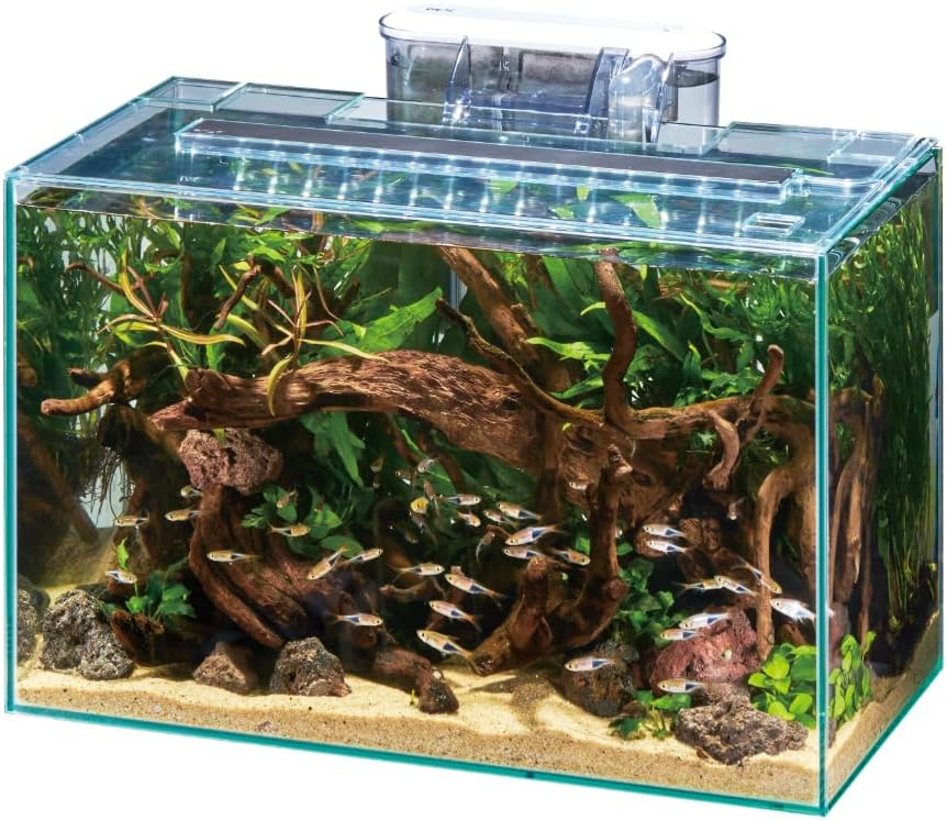 Fish tank with plants, rocks, and driftwood on a white background at Pet Servo