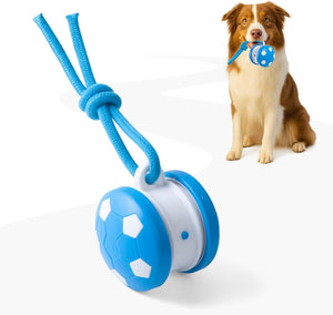 Dog playing with a blue and white dog toy on a white background at Pet Servo