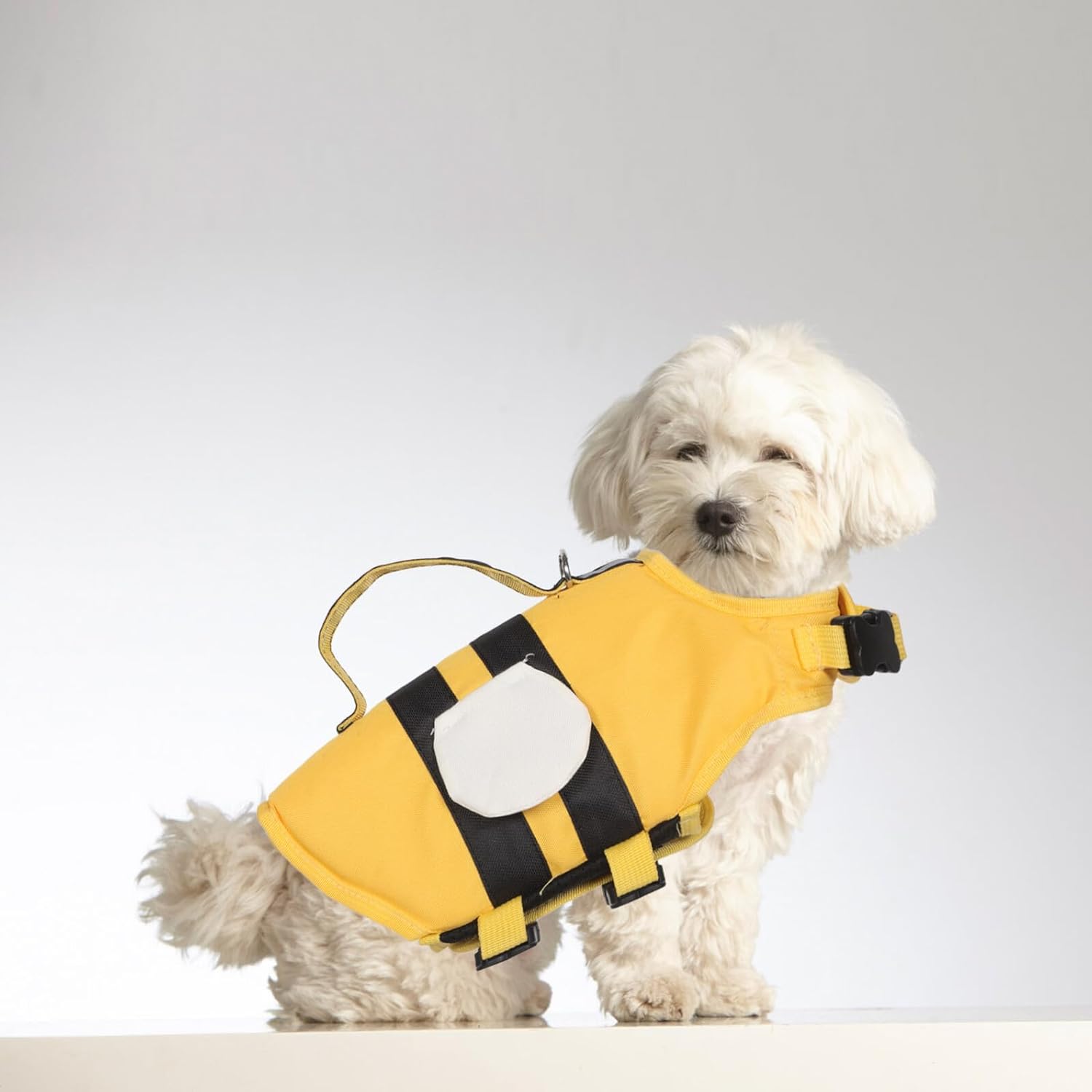 Small white dog wearing a yellow life jacket on a plain background at Pet Servo