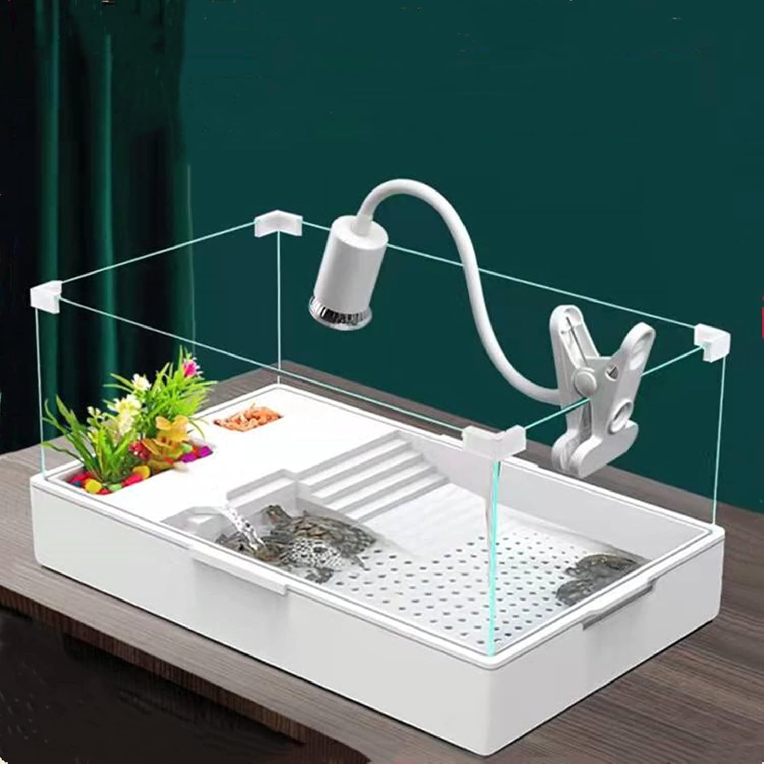 Small aquarium with a light fixture on a wooden surface at Pet Servo