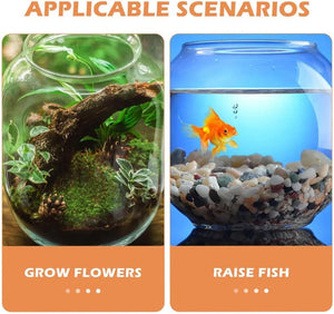 Two scenarios for using a container: growing flowers and raising fish, with corresponding images of each at Pet Servo