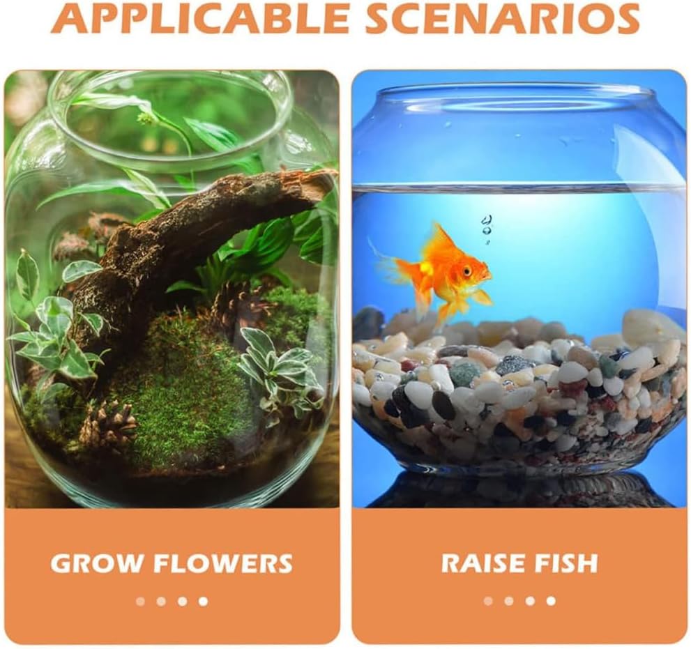 Two scenarios for using a container: growing flowers and raising fish, with corresponding images of each at Pet Servo