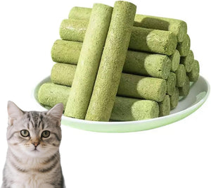 Green catnip rolls on a white plate with a cat looking at them at Pet Servo