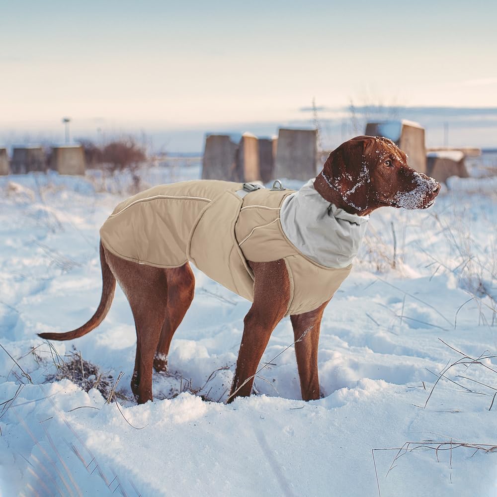 Beige Waterproof Dog Coat - Adjustable - Petservo