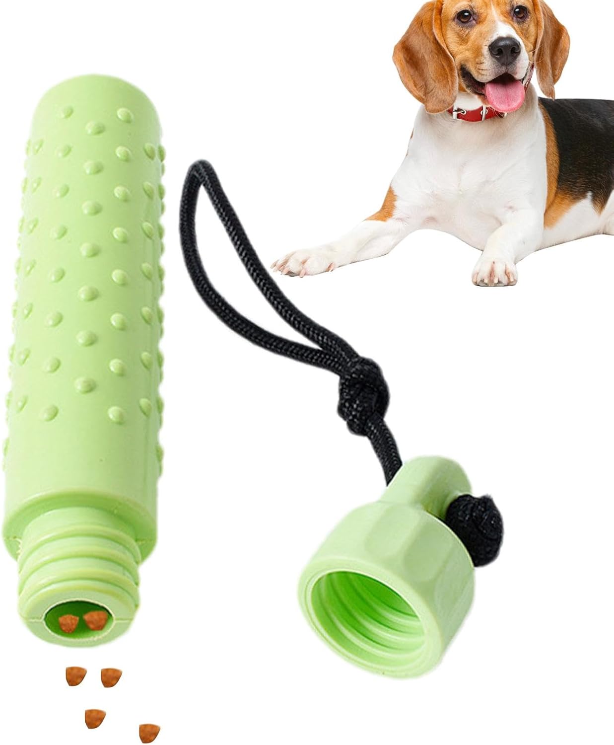 Green dog chew toy with a rope and a dog lying next to it on a white background at Pet Servo