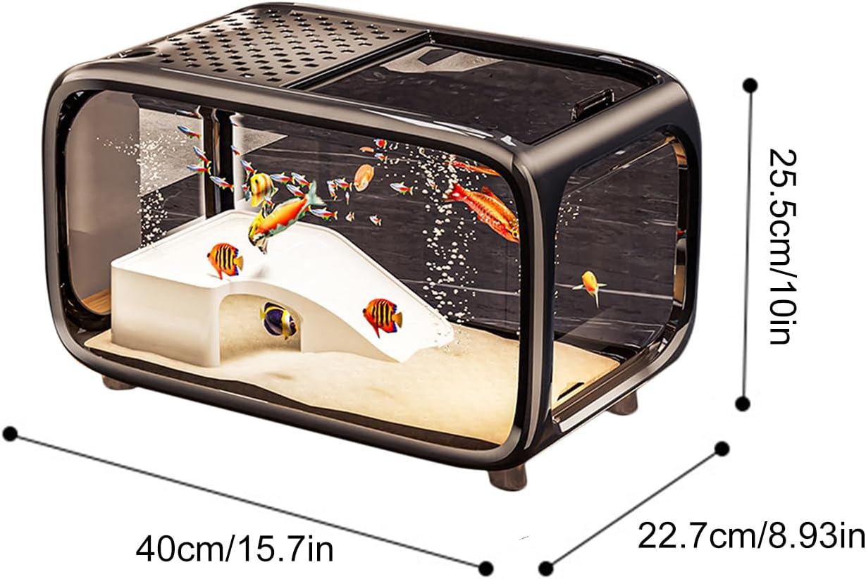 Small fish tank with fish inside, showing dimensions on a white background at Pet Servo