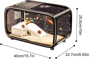 Small fish tank with fish inside, showing dimensions on a white background at Pet Servo