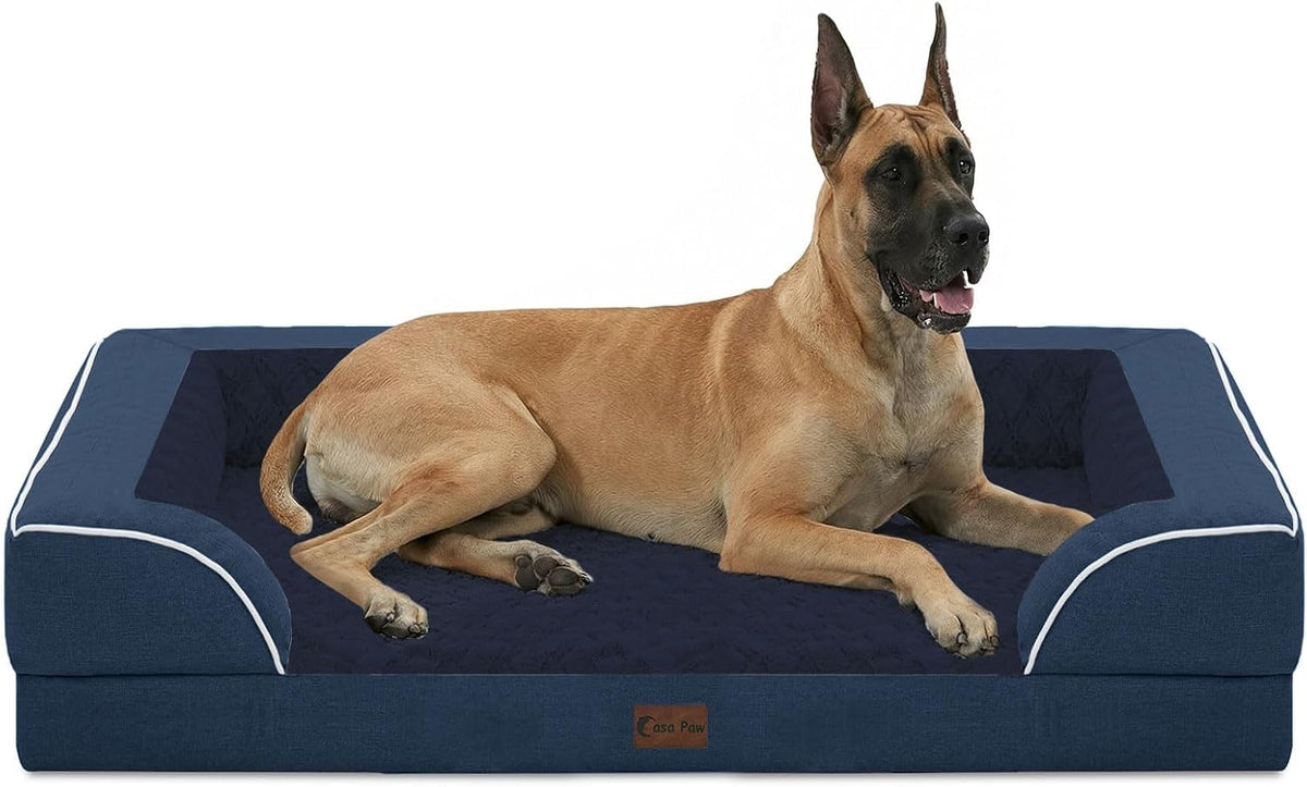 Dog lying on a blue pet bed with white trimCasa Paw - Non-Slip Orthopedic Bed with Washable Cover for XL Dogs, Navy Blue at Pet Servo
