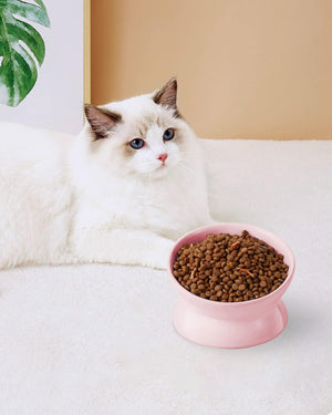 Cat sitting next to a pink bowl of dry cat food on a white surface at Pet Servo