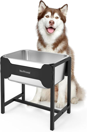 Dog standing next to a stainless steel dog bowl on a stand with 'MaxWental' branding at Pet Servo