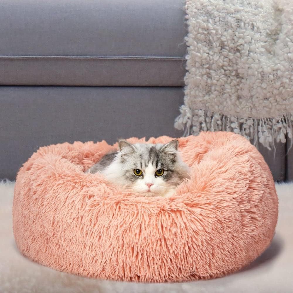 Cat lying on a fluffy pink pet bed in a cozy living room at Pet Servo