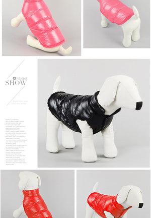 Collage of dogs wearing pink, black, and red puffer jackets on a gray background at Pet Servo