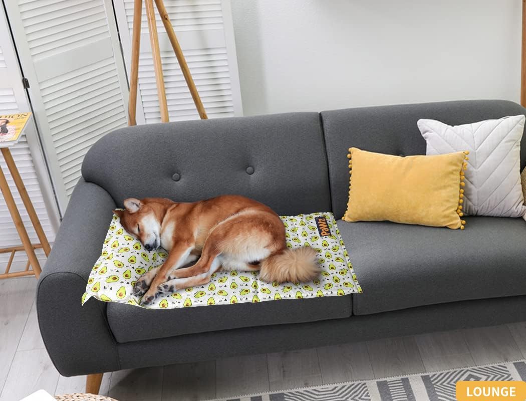 Buy PaWz Gel Non-Toxic Pet Bed Pillow Sofa Self-Cooling mat at Pet Servo