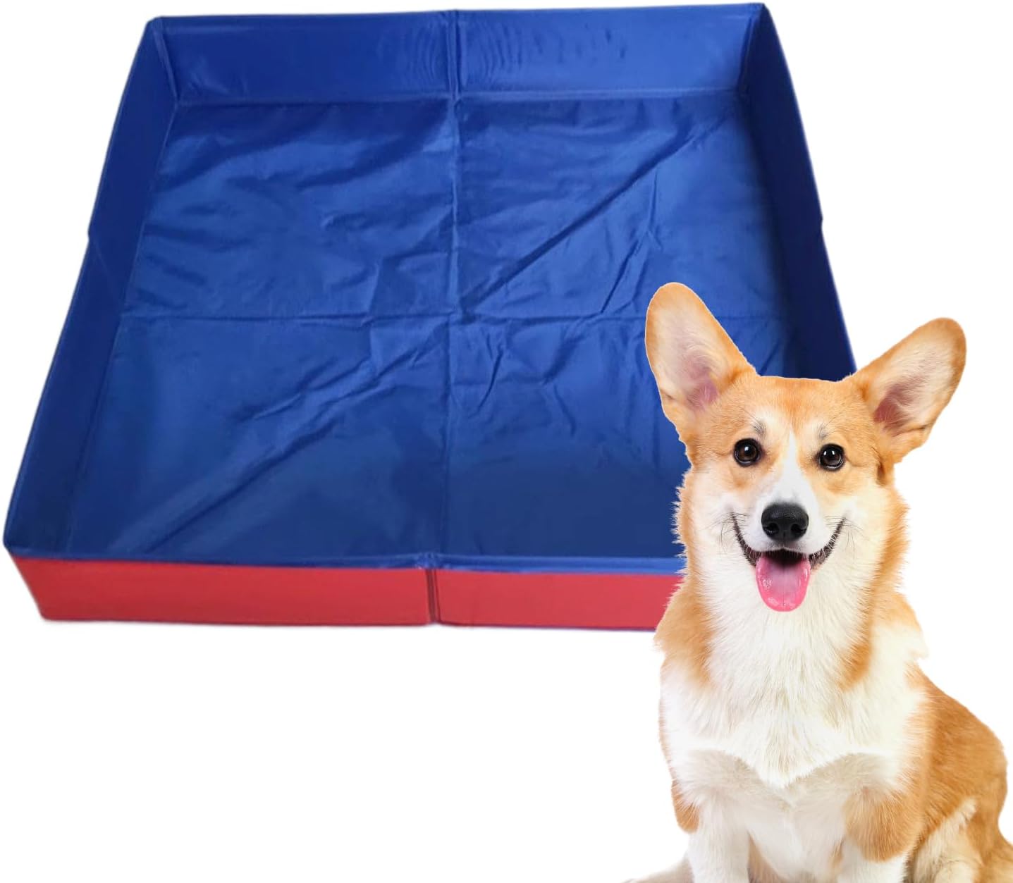 Blue and red pet pad with a corgi dog sitting next to it on a white background at Pet Servo