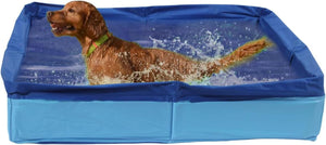 Dog playing in a blue inflatable pool at Pet Servo
