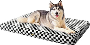 Dog lying on a checkered pet bed with a white background at Pet Servo