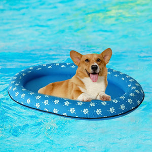 Dog on a blue inflatable ring with paw prints in a pool at Pet Servo