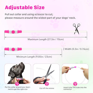 Dehlso - LED Dog Collar – Rechargeable Light-Up Safety Gear - Petservo