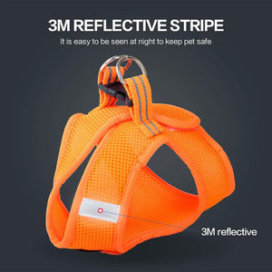 Orange dog harness with 3M reflective stripe on a dark background at Pet Servo