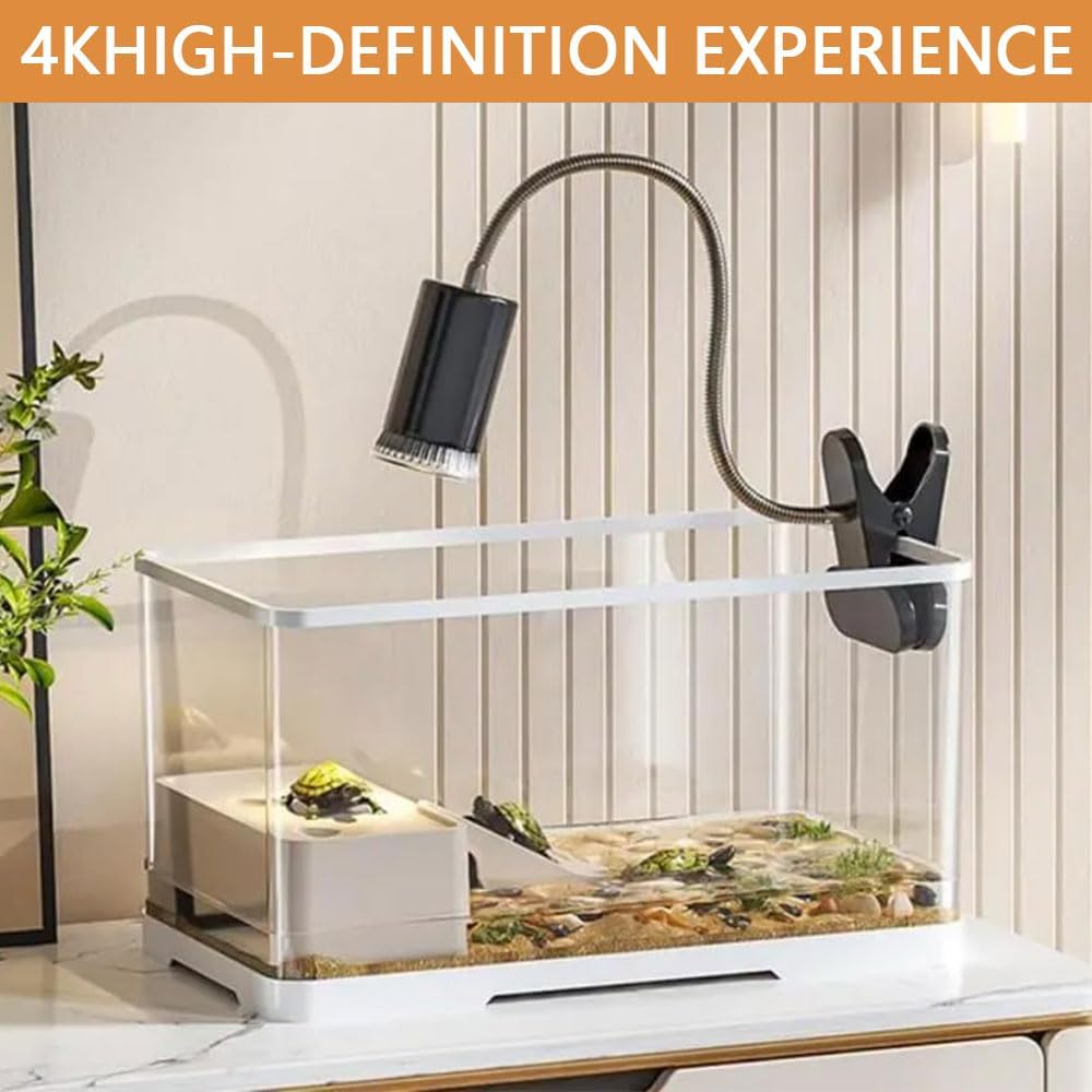Small aquarium with a lamp on a white surface, featuring '4K High-Definition Experience' text at Pet Servo