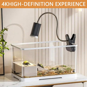 Small aquarium with a lamp on a white surface, featuring '4K High-Definition Experience' text at Pet Servo