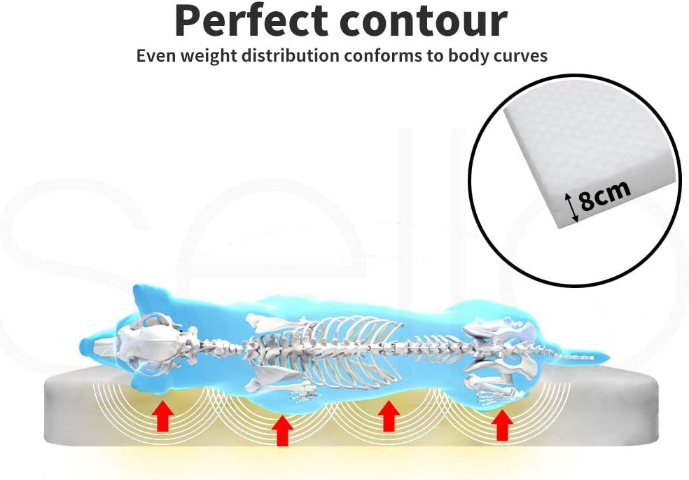 Illustration of a mattress with a skeleton showing weight distribution, labeled 'Perfect contour' and '8cm' at Pet Servo