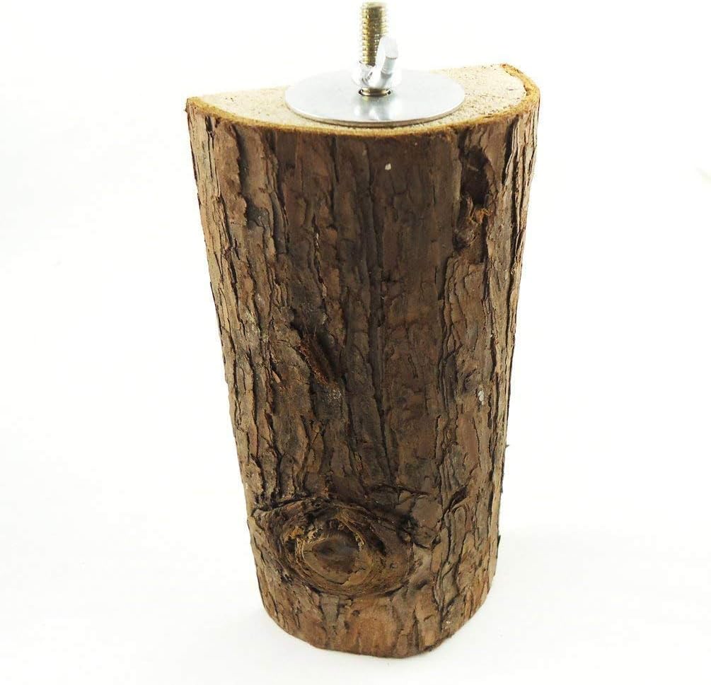 Wooden lamp base with natural texture on a white background at Pet Servo
