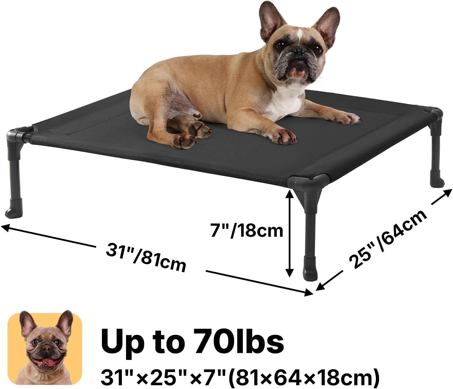 A tan French Bulldog lies on a black elevated pet bed with dimension arrows and text showing 31 x 25 x 7 inches (81 x 64 x 18 cm) and up to 70 lbs capacity, on a white background.