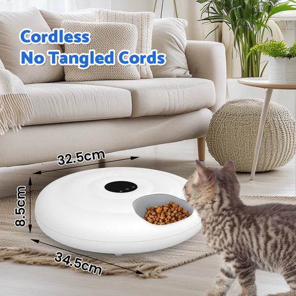 Pet food bowl with measurements in a living room setting