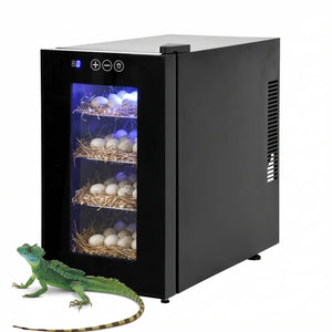 Small black incubator with glass door showing eggs and a green lizard in front on a white background at Pet Servo