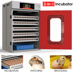 3-in-1 incubator with images of incubation, hatching, and brooding stages at Pet Servo