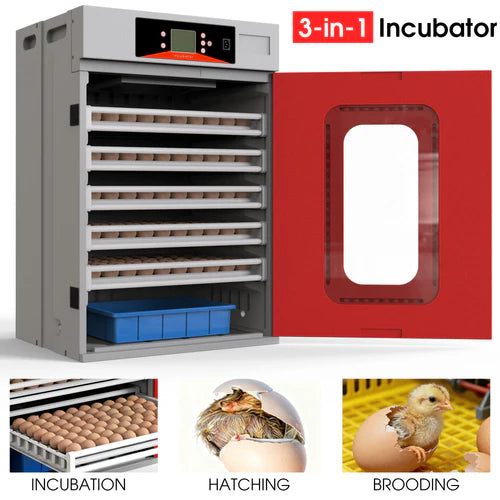 3-in-1 incubator with images of incubation, hatching, and brooding stages at Pet Servo