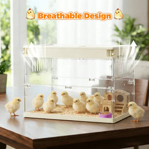 Clear acrylic chick brooder with small chicks on a wooden surface, labeled 'Breathable Design' at Pet Servo