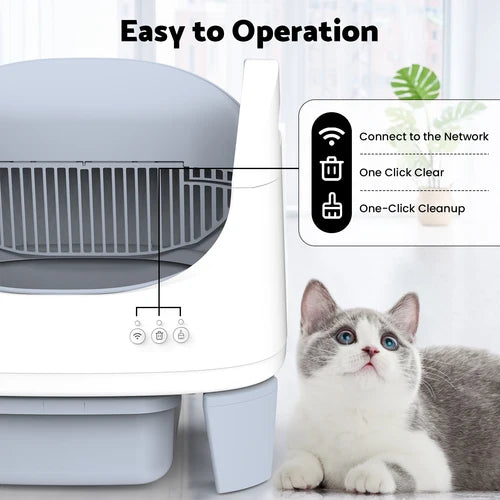 A white and light gray automatic pet feeder shown with an informational callout on the right and a gray-and-white cat lying beside it. The text at the top reads 'Easy to Operation' and the callout lists features like connecting to a network, one-click clear, and one-click cleanup