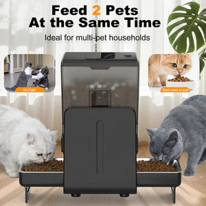 Pet food dispenser with cats eating around it, ideal for multi-pet households at Pet Servo